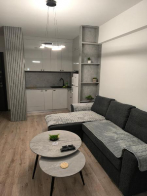 Apartman Dioniz Fojnica